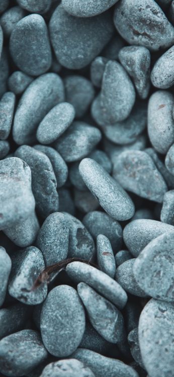 pebble, black and white, close up, rock, electric blue