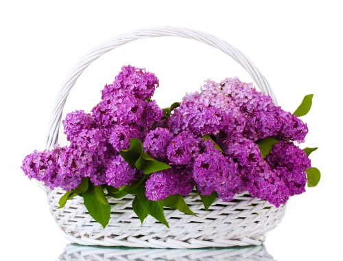 Image purple flowers on woven basket