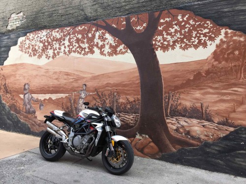 Image black and white motorcycle parked beside brown tree