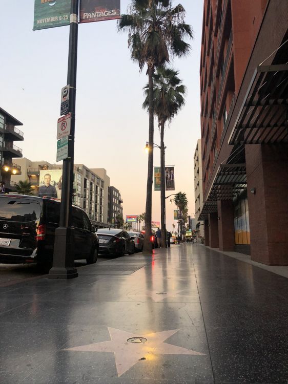 Rey, Carretera, Zona Residencial, Invierno, Arquitectura. Wallpaper in 1536x2048 Resolution