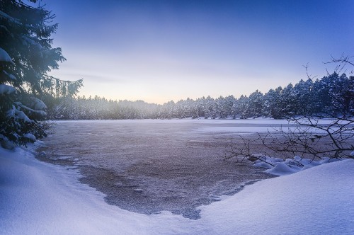 Image snow covered field and trees during daytime