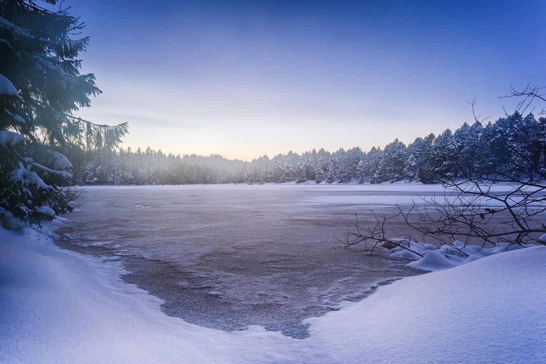 snow covered field and trees during daytime