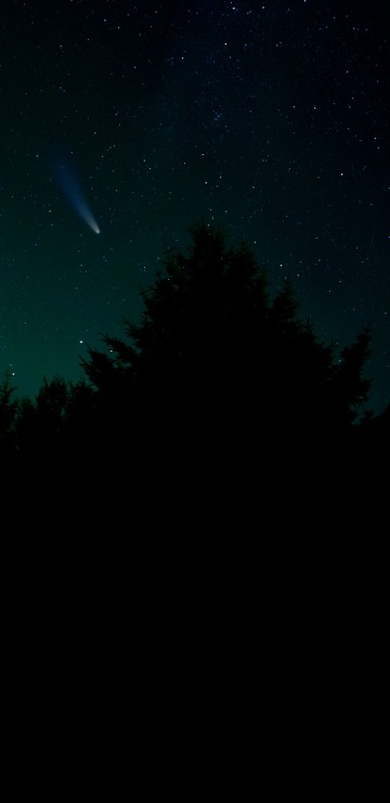 Image star, astronomy, atmosphere, natural landscape, branch