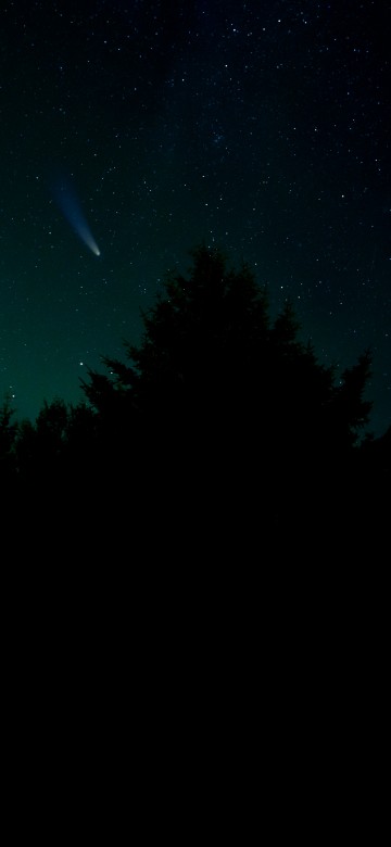 Image star, astronomy, atmosphere, natural landscape, branch