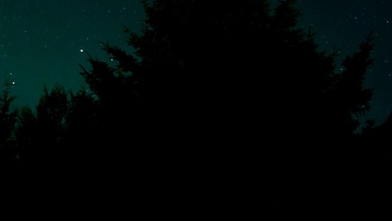 Image star, astronomy, atmosphere, natural landscape, branch