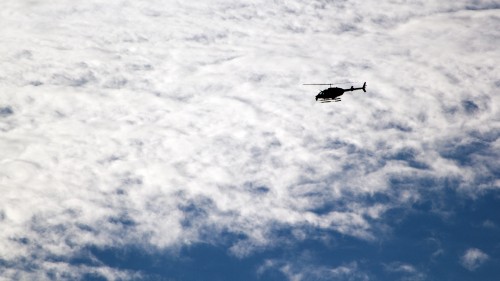 Image black bird flying under white clouds during daytime