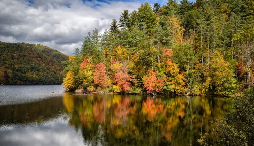 Image green and yellow trees beside river under cloudy sky during daytime