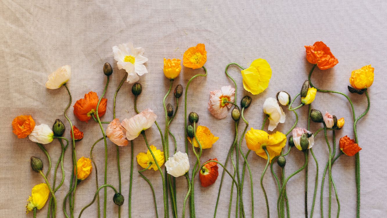 yellow and white flowers on white textile