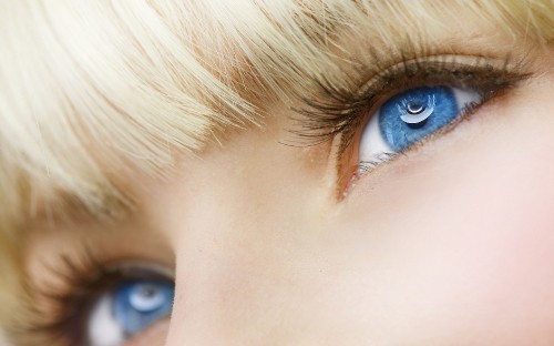 Image eye color, beauty, face, eyebrow, eye