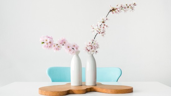 Image being secure in yourself, flower, vase, plant, table