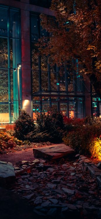 night, building, cityscape, future, plant