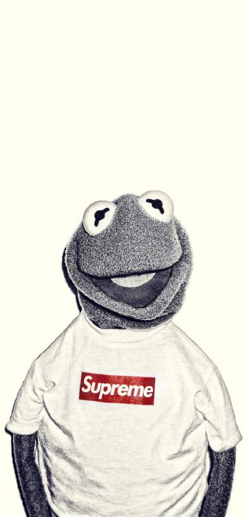 Kermit Supremo, Kermit la Rana, Supremo, Cartel Supremo, Lienzo. Wallpaper in 1125x2346 Resolution