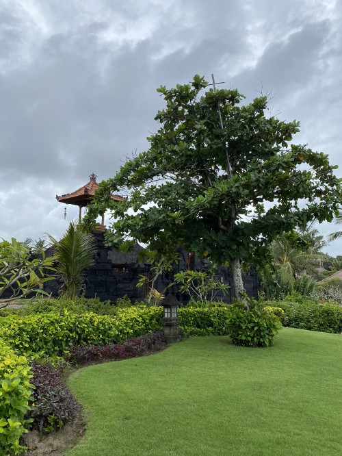 Image tree, vegetation, leaf, plant, cloud