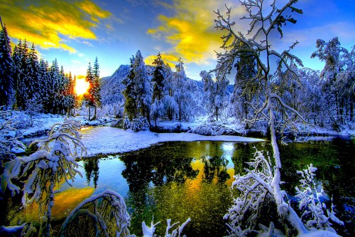 Image snow covered trees and mountain during sunset