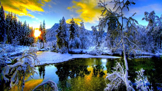 Image snow covered trees and mountain during sunset