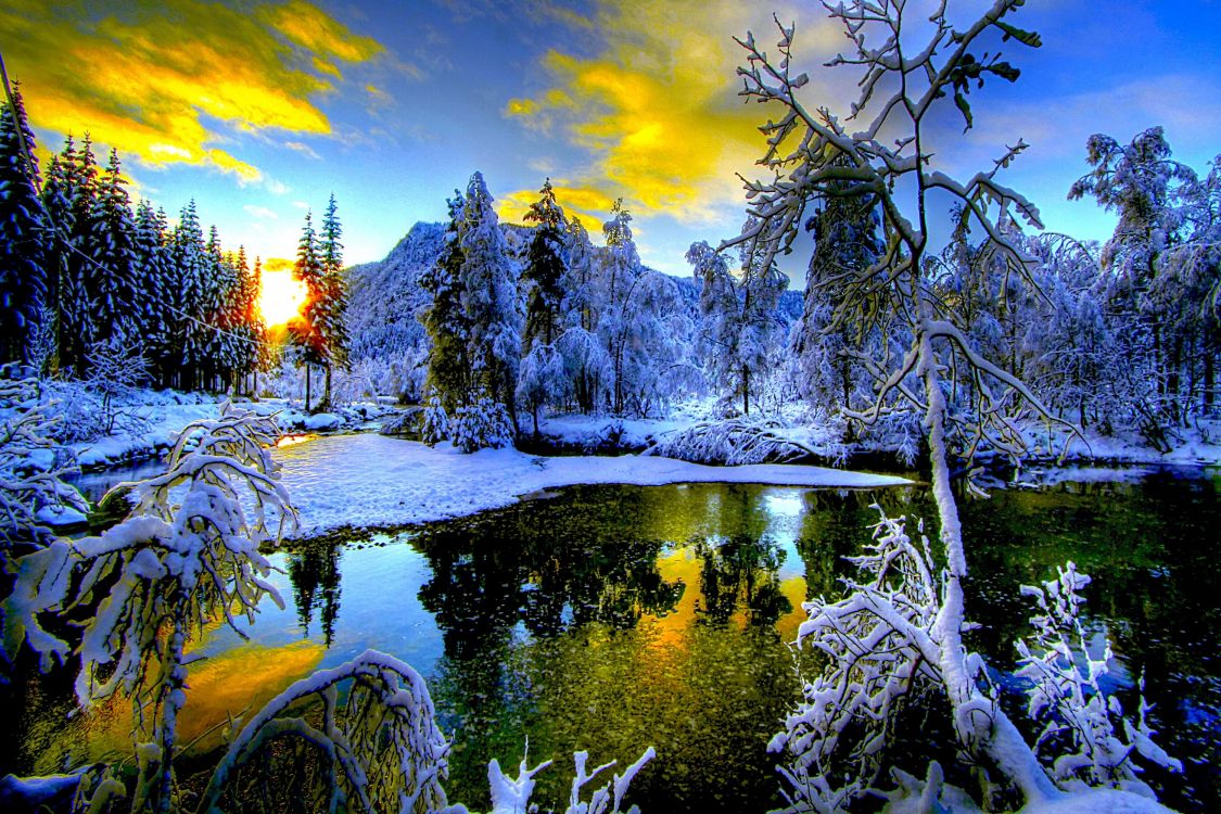 snow covered trees and mountain during sunset