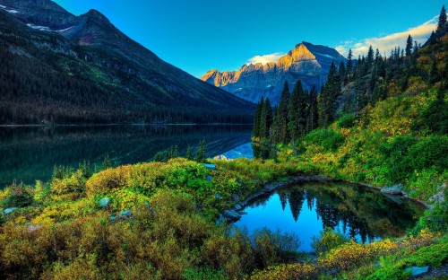 Image green trees near lake and mountain under blue sky during daytime