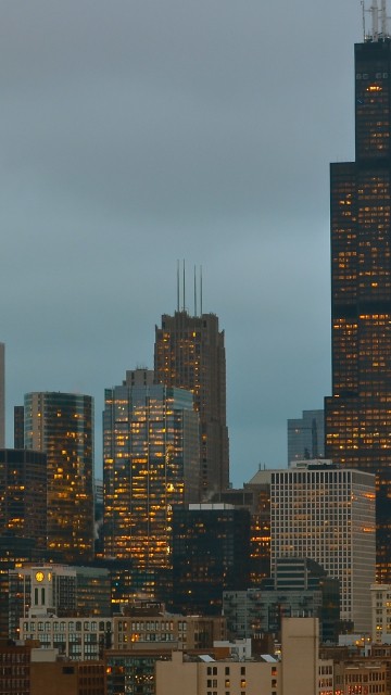 Image city skyline under gray sky during daytime