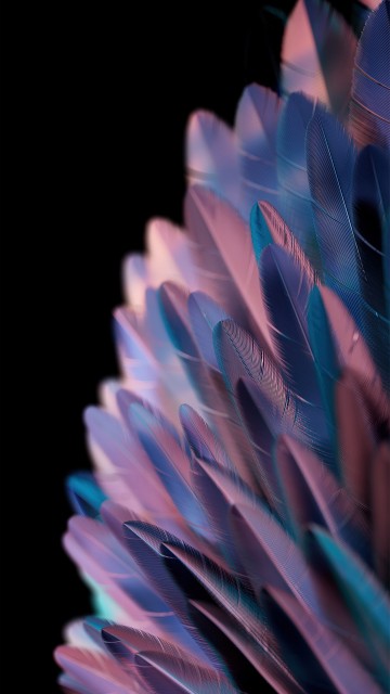 Image oppo find n2 flip, oppo find n2 flip 256gb, OPPO, 50mp, smartphone