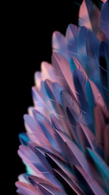 Image oppo find n2 flip, oppo find n2 flip 256gb, OPPO, 50mp, smartphone