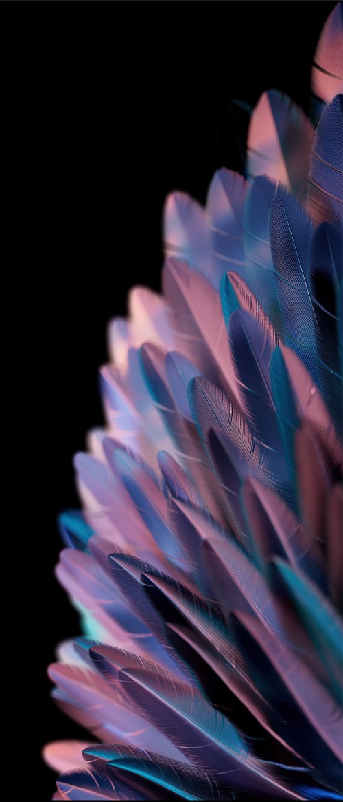 Image oppo find n2 flip, oppo find n2 flip 256gb, OPPO, 50mp, smartphone