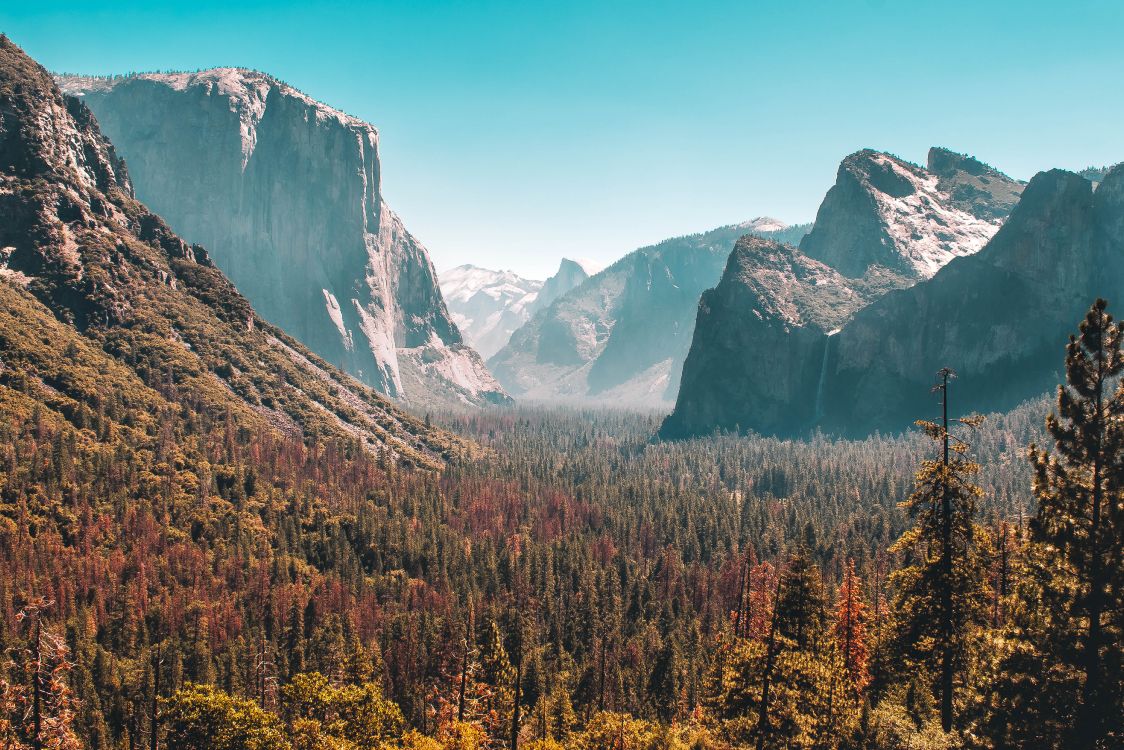 Yosemite Falls, Wawona-Tunnel, Half Dome, Nationalpark, Death Valley National Park. Wallpaper in 5242x3495 Resolution