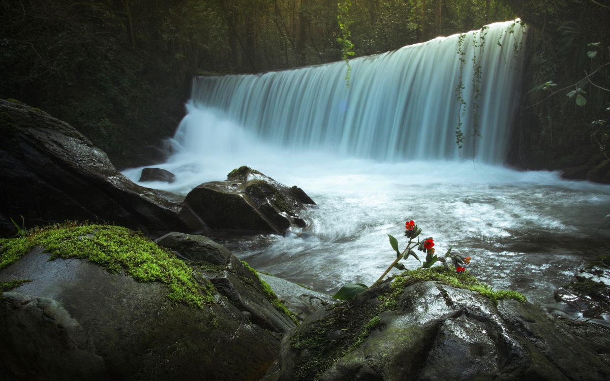 Person in Roter Jacke Und Schwarzer Hose, Die Tagsüber Auf Felsen in Der Nähe Von Wasserfällen Steht. Wallpaper in 2880x1800 Resolution