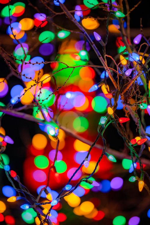 green and red string lights