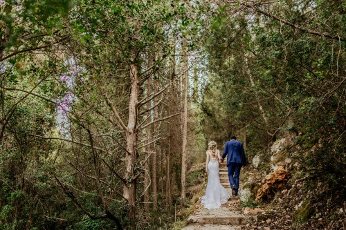 Image wedding, nature, tree, natural landscape, natural environment