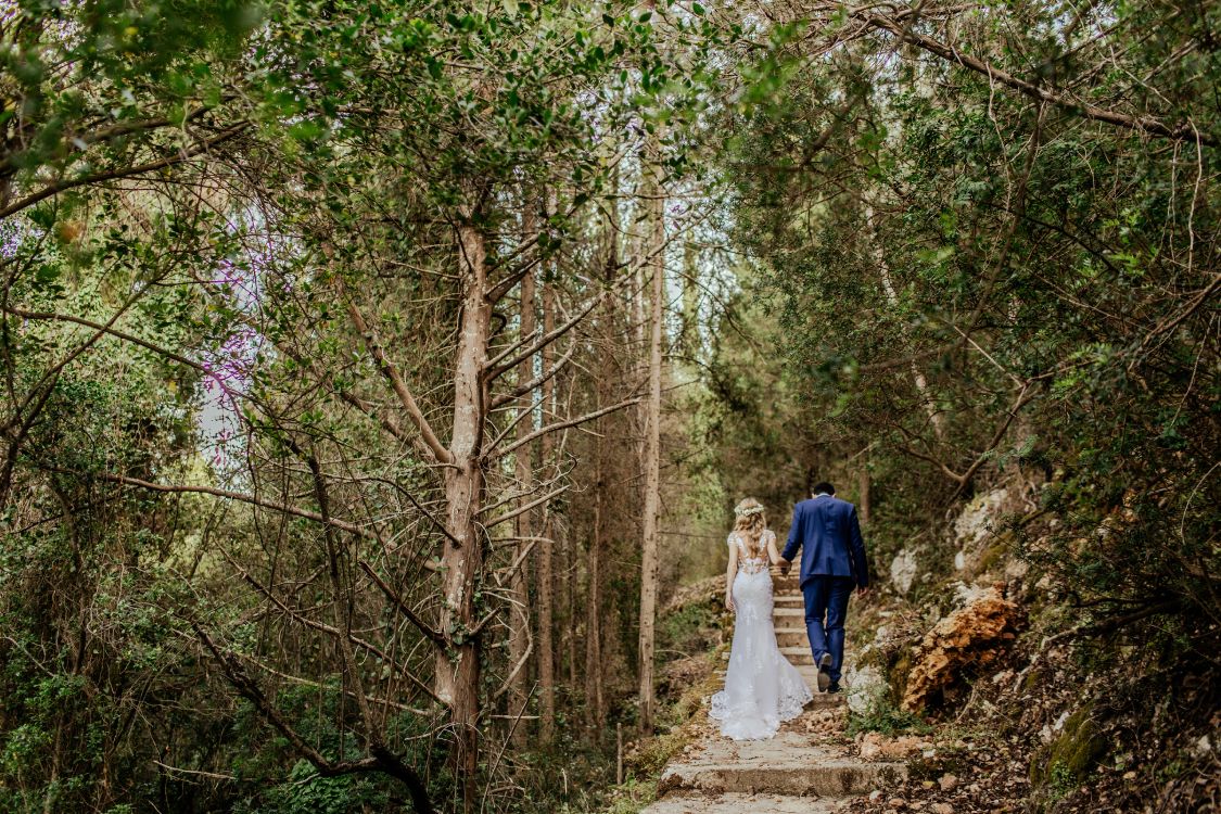 wedding, nature, tree, natural landscape, natural environment