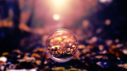 Image clear glass ball with water droplets