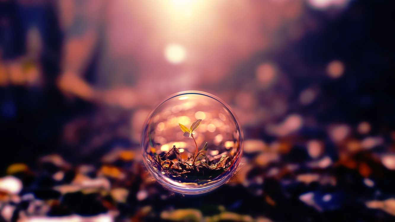 clear glass ball with water droplets