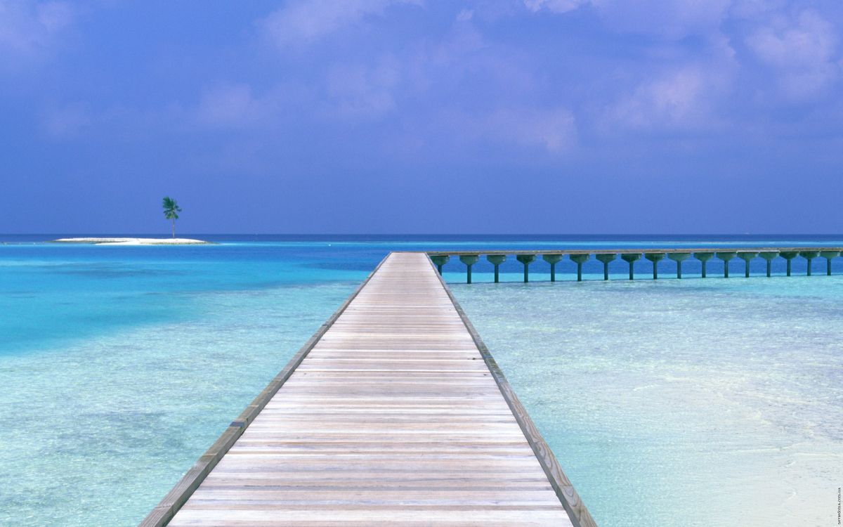 大海, 海洋, 热带地区, Azure, 加勒比 壁纸 2560x1600 允许