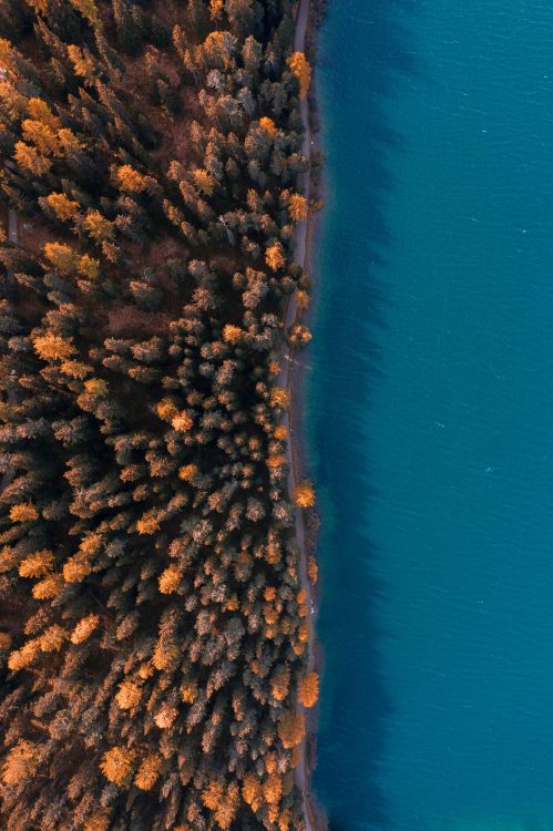 Wasser, Korallenriff, Himmel, Coral, Microsoft Azure. Wallpaper in 3640x5464 Resolution