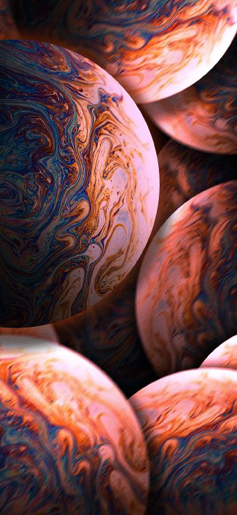 Close Up, Anapa, Meine Worldmail Ru, Orange, Natürliche Lebensmittel. Wallpaper in 1080x2340 Resolution