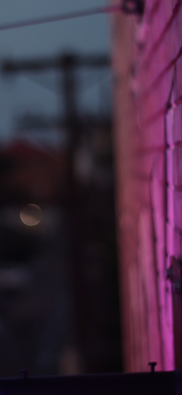 Image purple light on brown brick wall during night time
