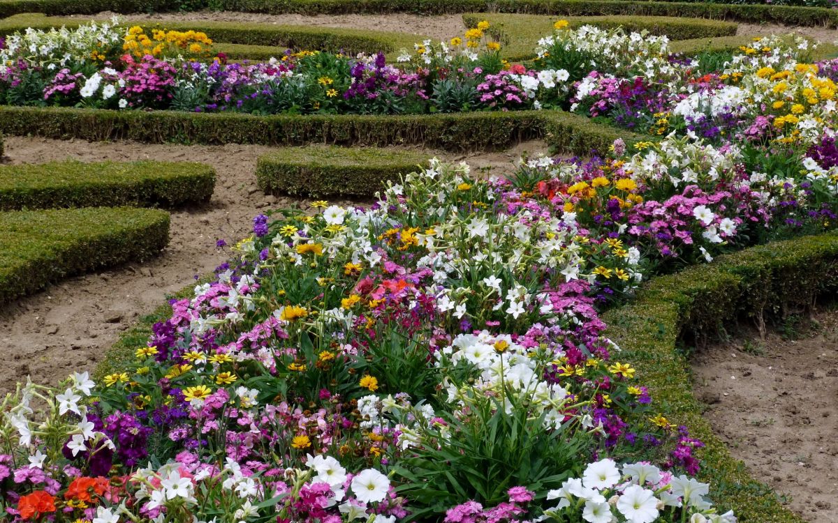 Jardin de Fleurs Violet et Blanc. Wallpaper in 2880x1800 Resolution