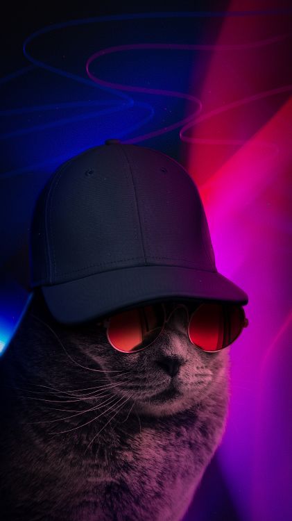 光, 太阳镜, 护目镜, 帽子, 帽 壁纸 3240x5760 允许