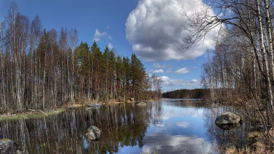 Image green trees beside river under blue sky during daytime