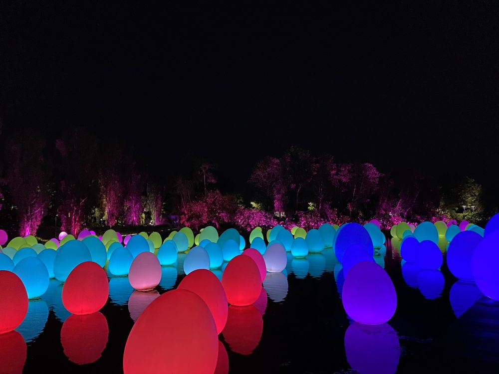 光, 物理学, 科学, 紫色的, 品红色 壁纸 2048x1536 允许