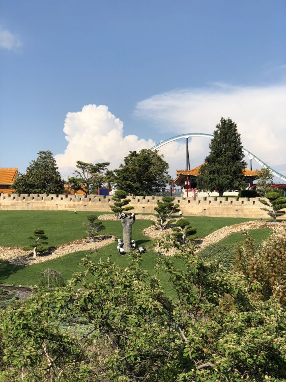 Zone Rurale, Tourisme, Les Terres Beaucoup, Champ, Garden. Wallpaper in 1536x2048 Resolution